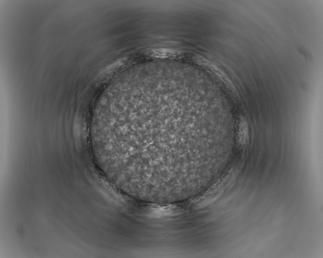 X0000112470569200908311352