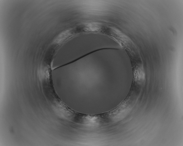 X0000112470570200908311352