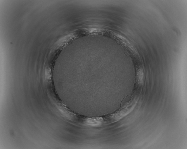 X0000112470571200908311352