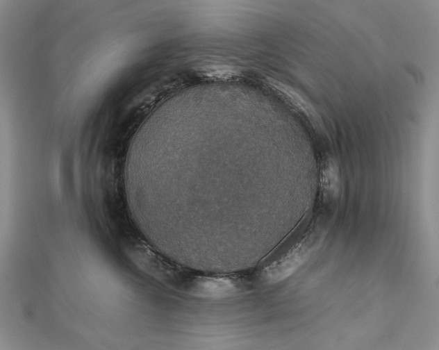 X0000112470572200908311352