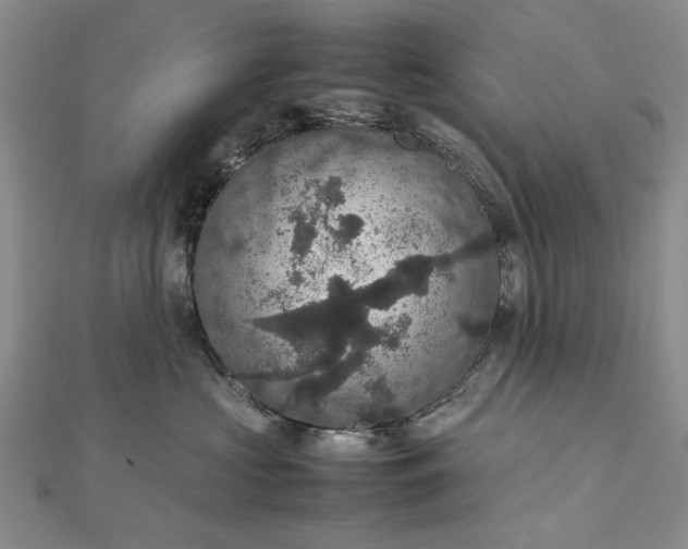 X0000112470573200908311352