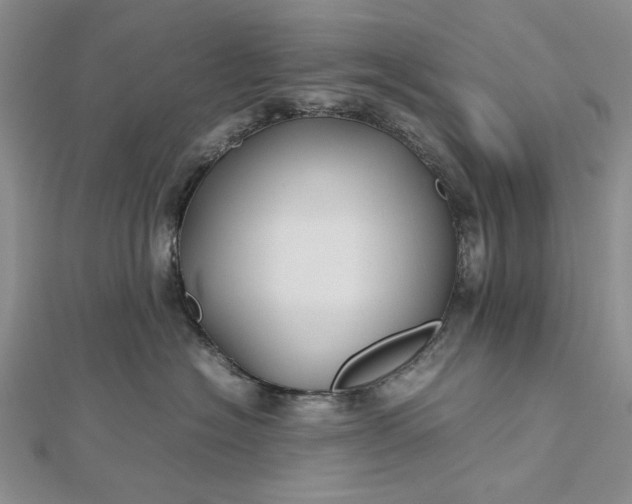 X0000112470574200908311352