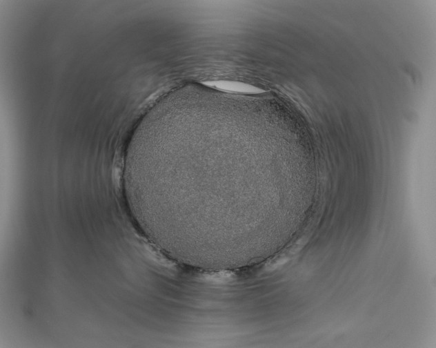 X0000112470576200908311352