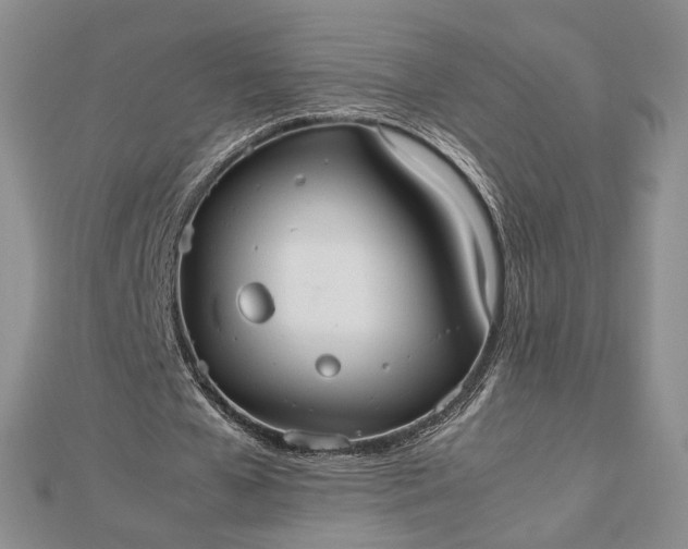 X0000112470577200908311352