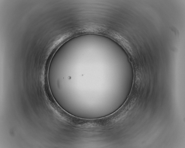 X0000112470578200908311352