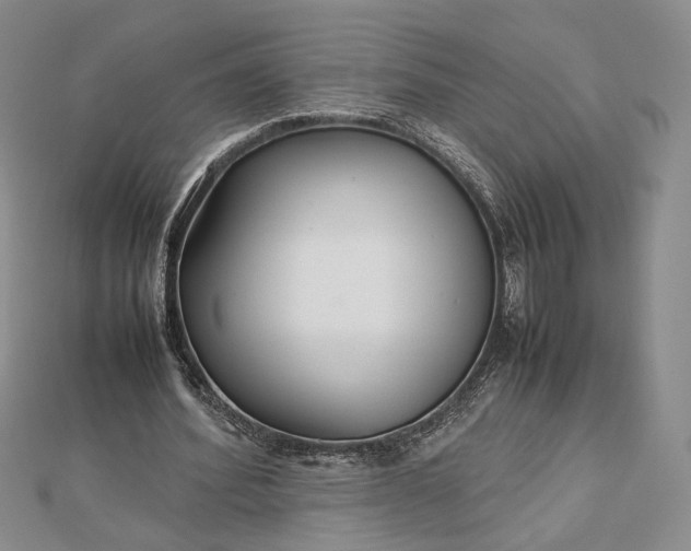 X0000112470580200908311352