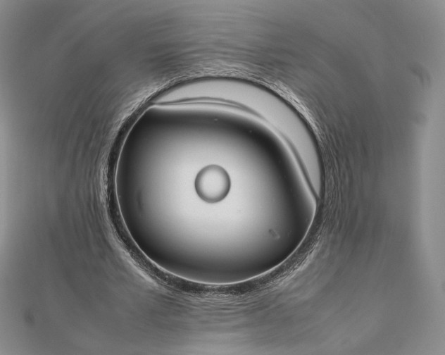 X0000112470581200908311351