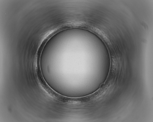 X0000112470582200908311351