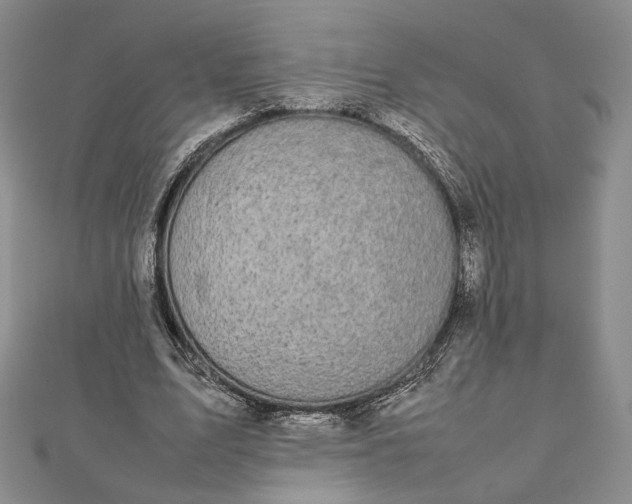 X0000112470583200908311351