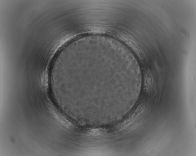 X0000112470584200908311351