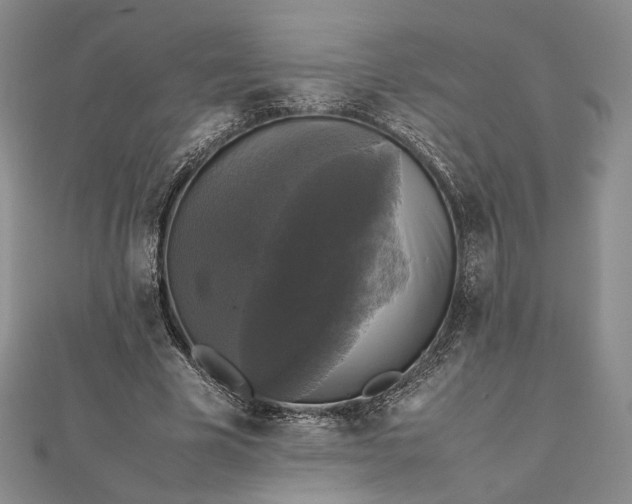 X0000112470585200908311351