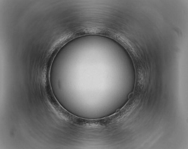 X0000112470586200908311351