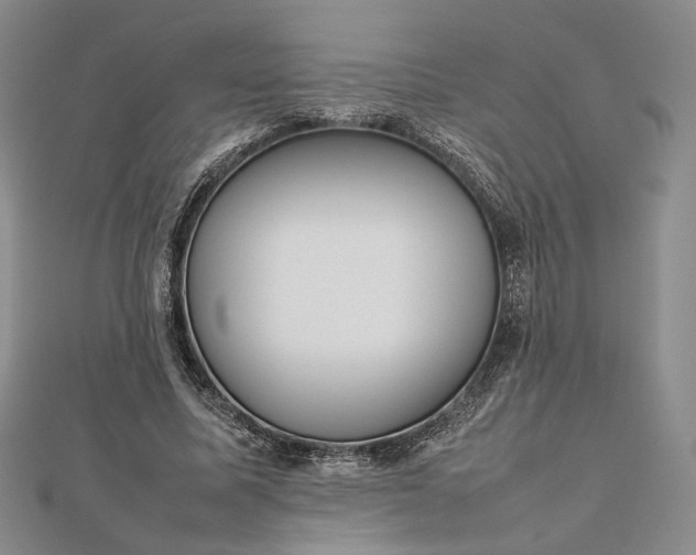 X0000112470587200908311351