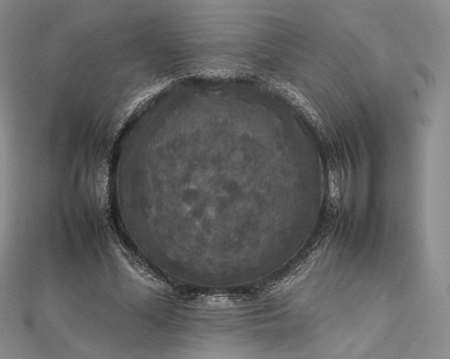 X0000112470588200908311351