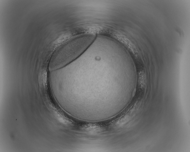 X0000112470589200908311351