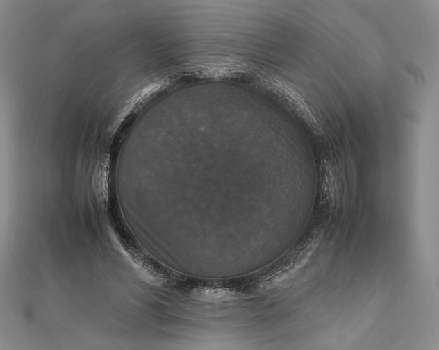 X0000112470590200908311351