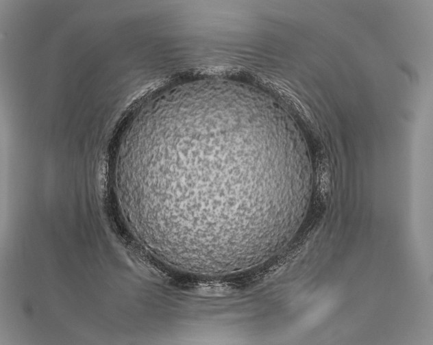 X0000112470591200908311351