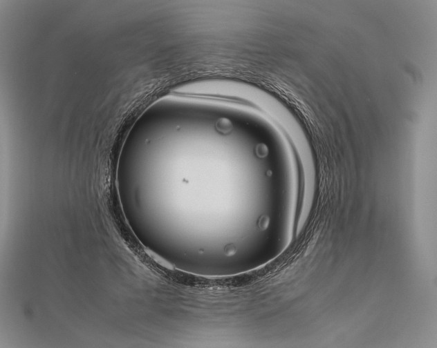 X0000112470593200908311351