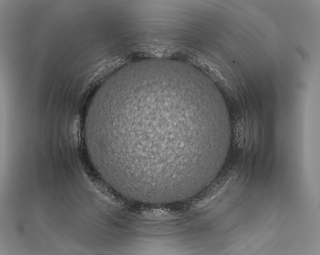 X0000112470594200908311351