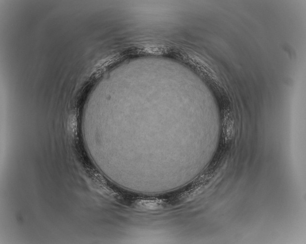 X0000112470595200908311351