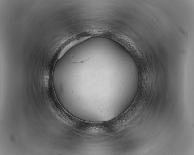 X0000112470596200908311351