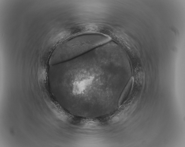 X0000112470597200908311351