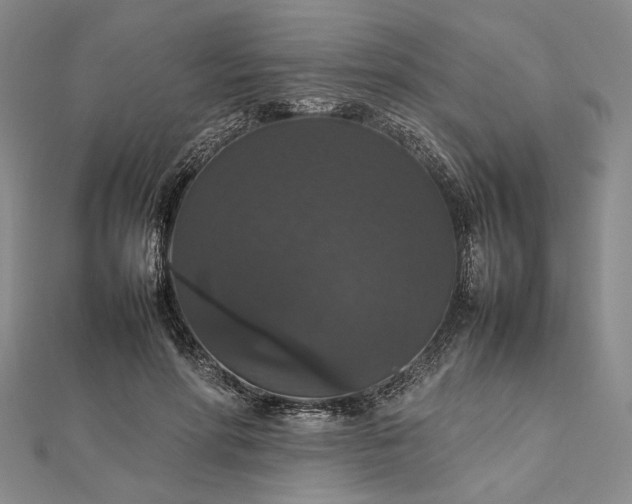 X0000112470598200908311351