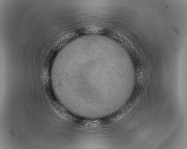 X0000112470599200908311351