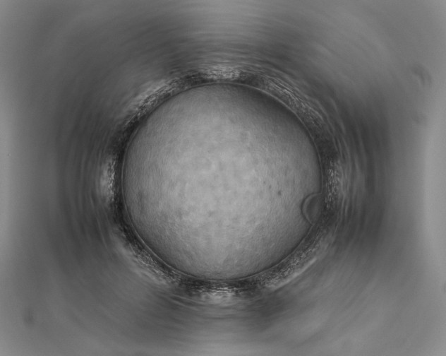 X0000112470600200908311351