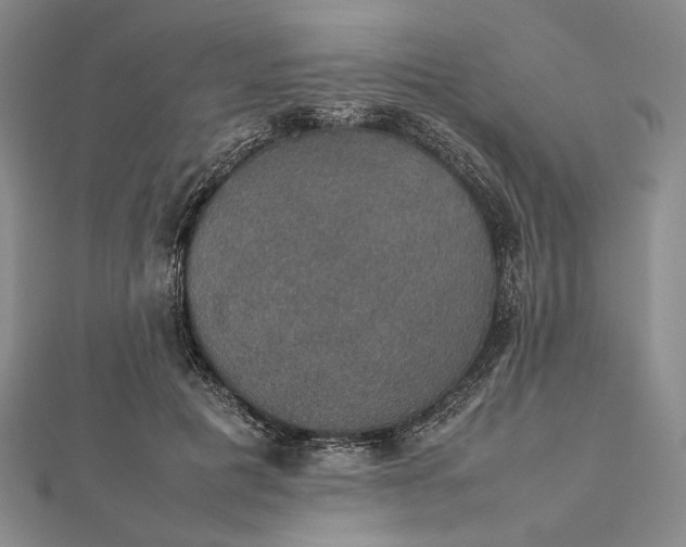 X0000112470601200908311351