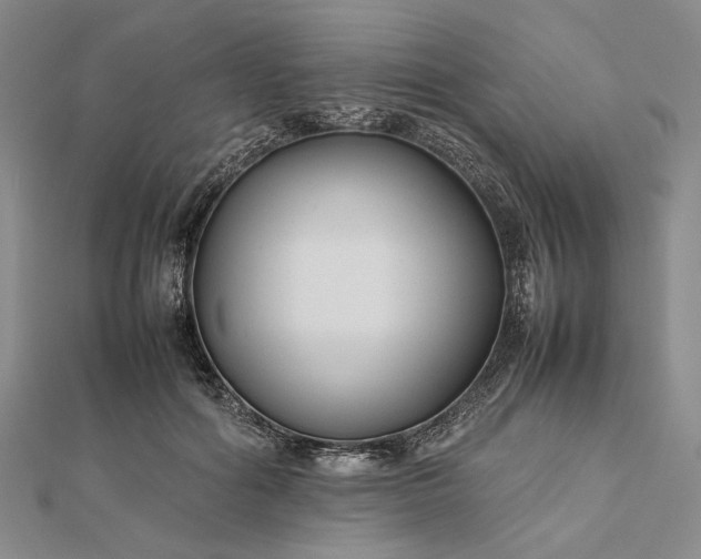 X0000112470602200908311351