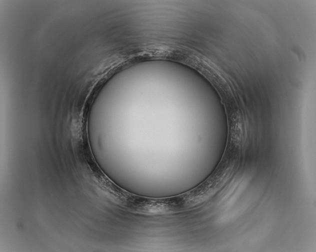 X0000112470604200908311351