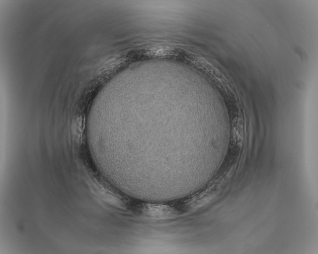 X0000112470605200908311351