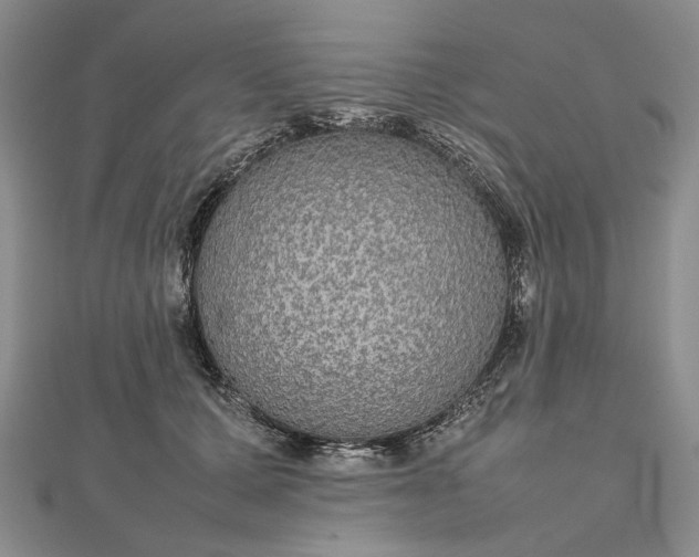 X0000112470607200908311351