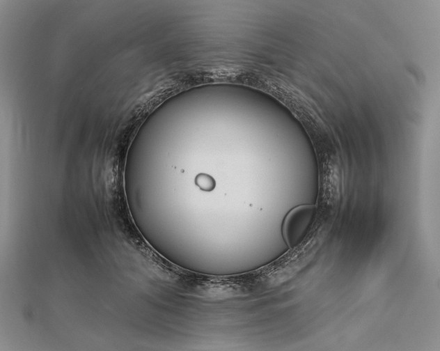 X0000112470608200908311351