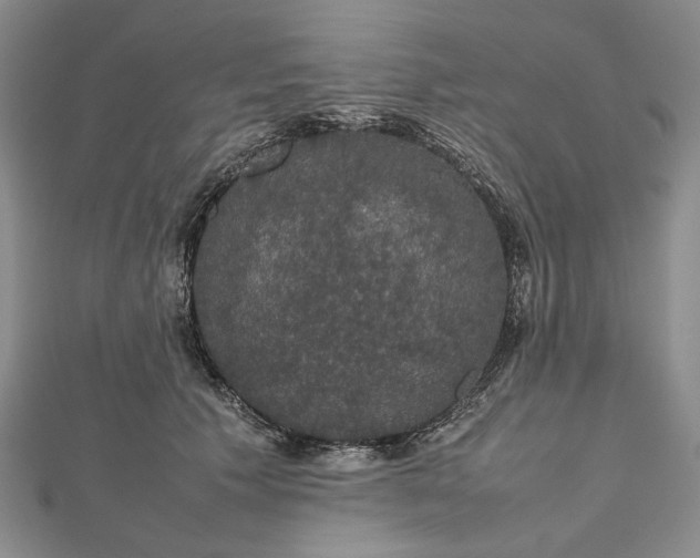 X0000112470609200908311351