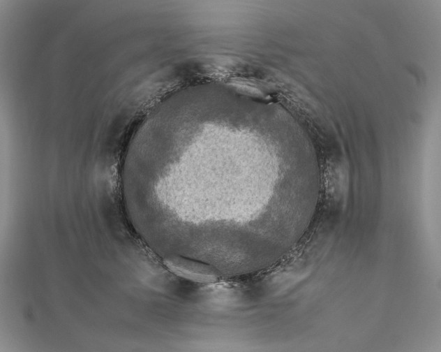 X0000112470611200908311351