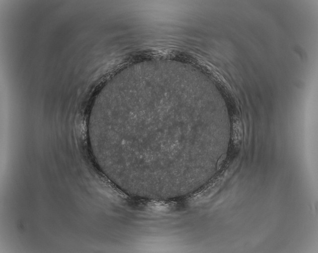 X0000112470613200908311351