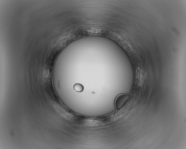 X0000112470614200908311351