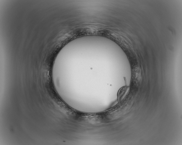 X0000112470615200908311351