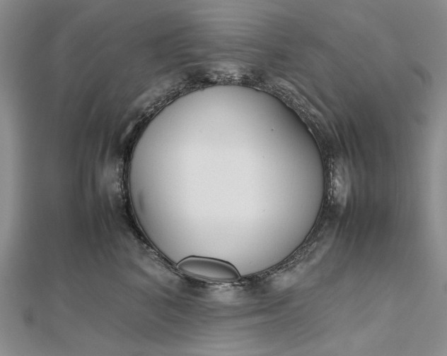 X0000112470616200908311351