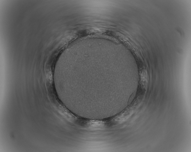 X0000112470617200908311351