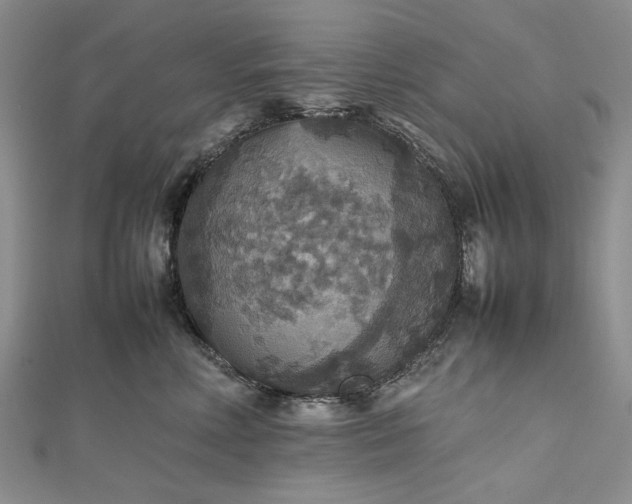 X0000112470618200908311351