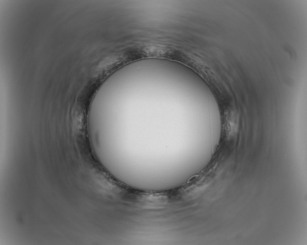 X0000112470619200908311351