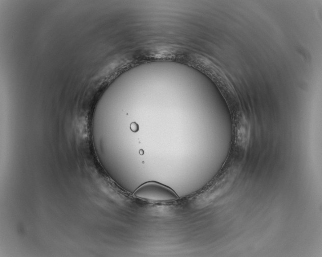 X0000112470620200908311351