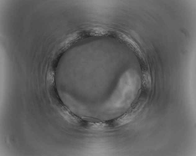 X0000112470621200908311351