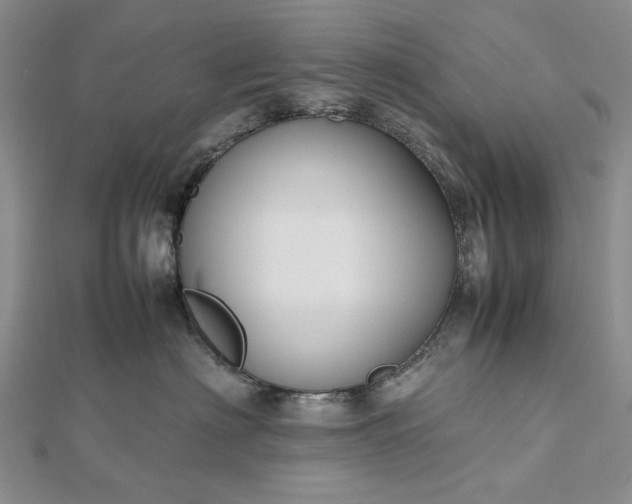 X0000112470622200908311351