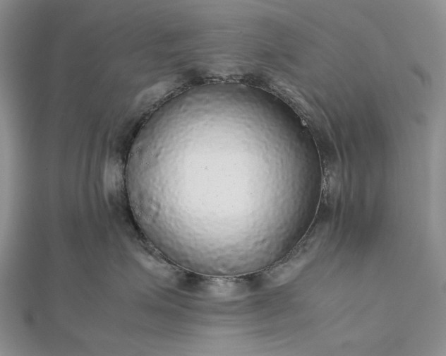 X0000112470623200908311351