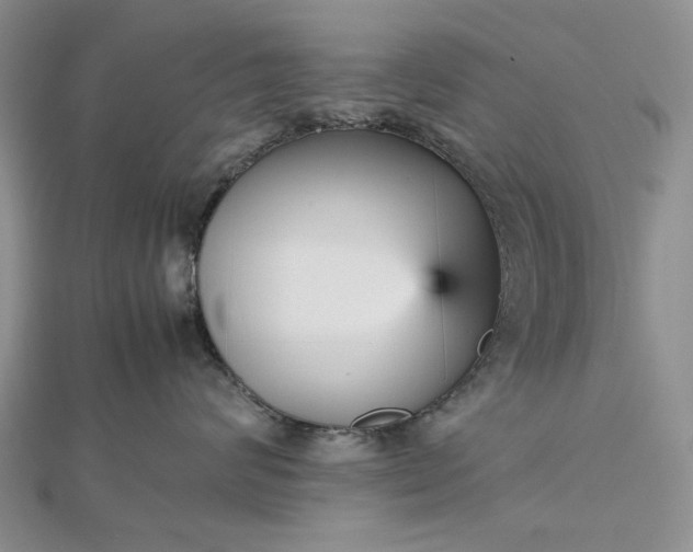 X0000112470624200908311351