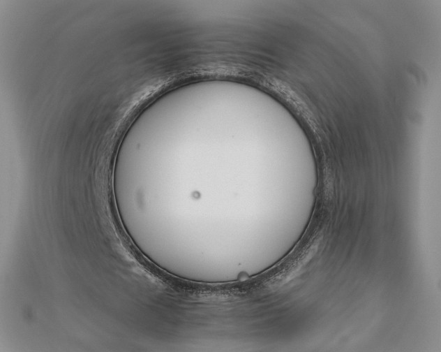 X0000112470625200908311350